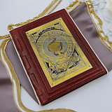 Иллюстрированная История Медицины