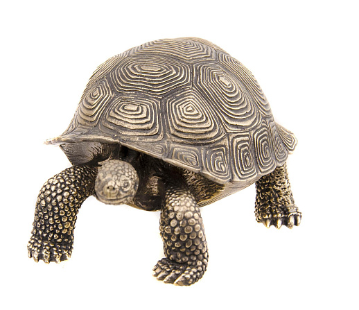 Черепаха-шкатулка
