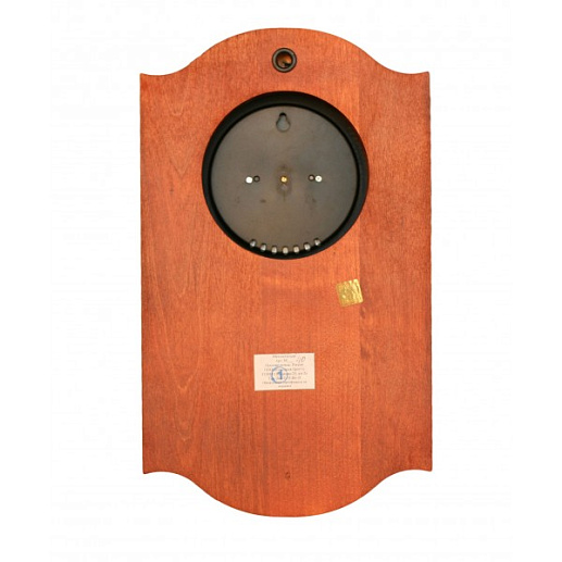 Метеостанция с рындой