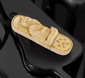 Подарочная флешка "Лесной кот"