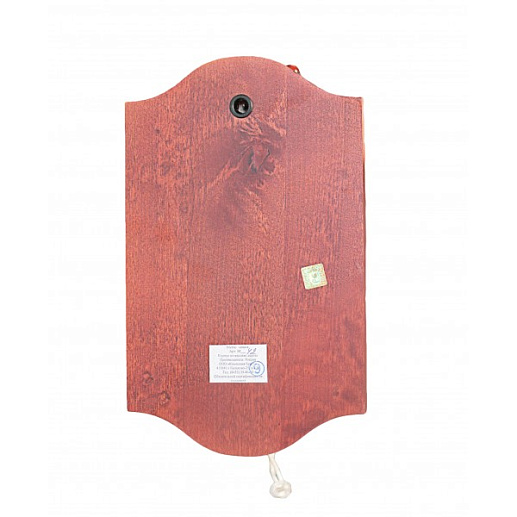 Метеостанция с рындой