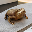Бронзовая скульптура «Жаба»