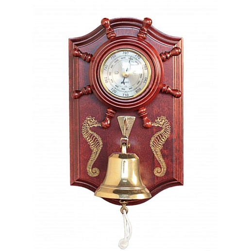 Метеостанция с рындой